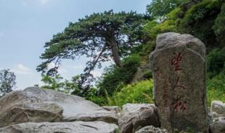 中国文化遗产作文500字