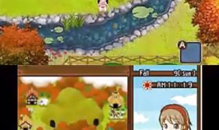 牧场物语双子村金手指