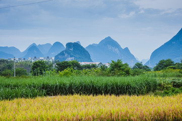 外地牌（外地牌照在北京有什么限制吗）